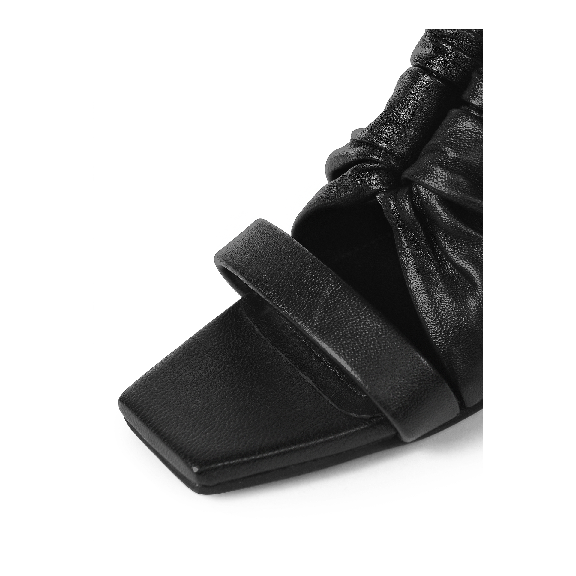 Horseshoe mules Horseshoe mules