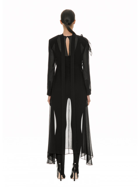 Transparent dress Transparent dress