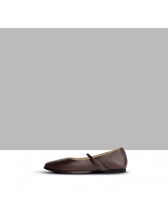 Classic ballet shoes