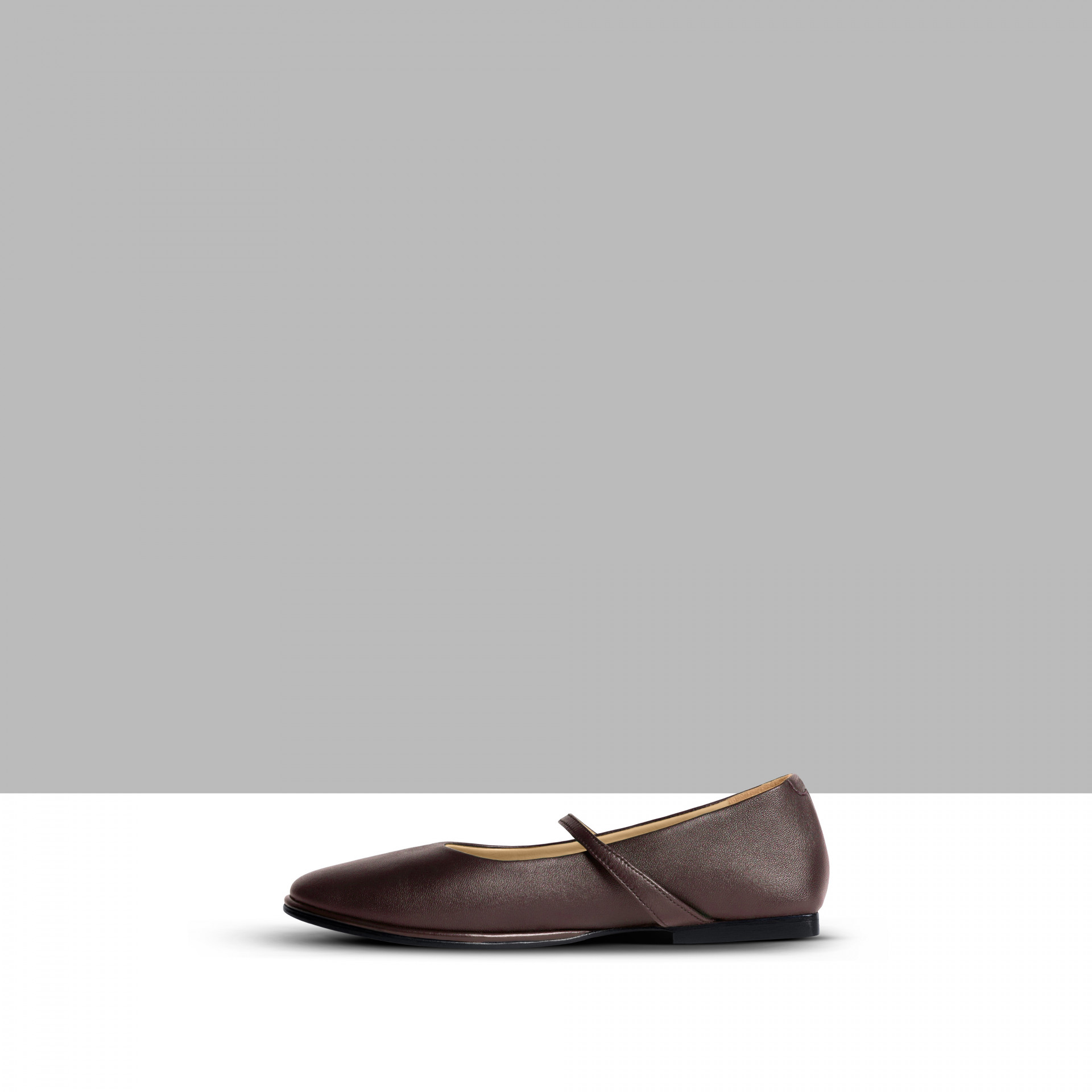 Classic ballet shoes