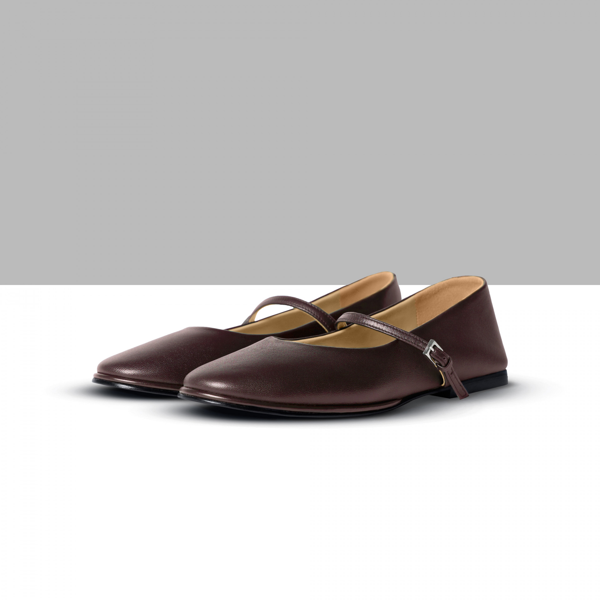 Classic ballet shoes