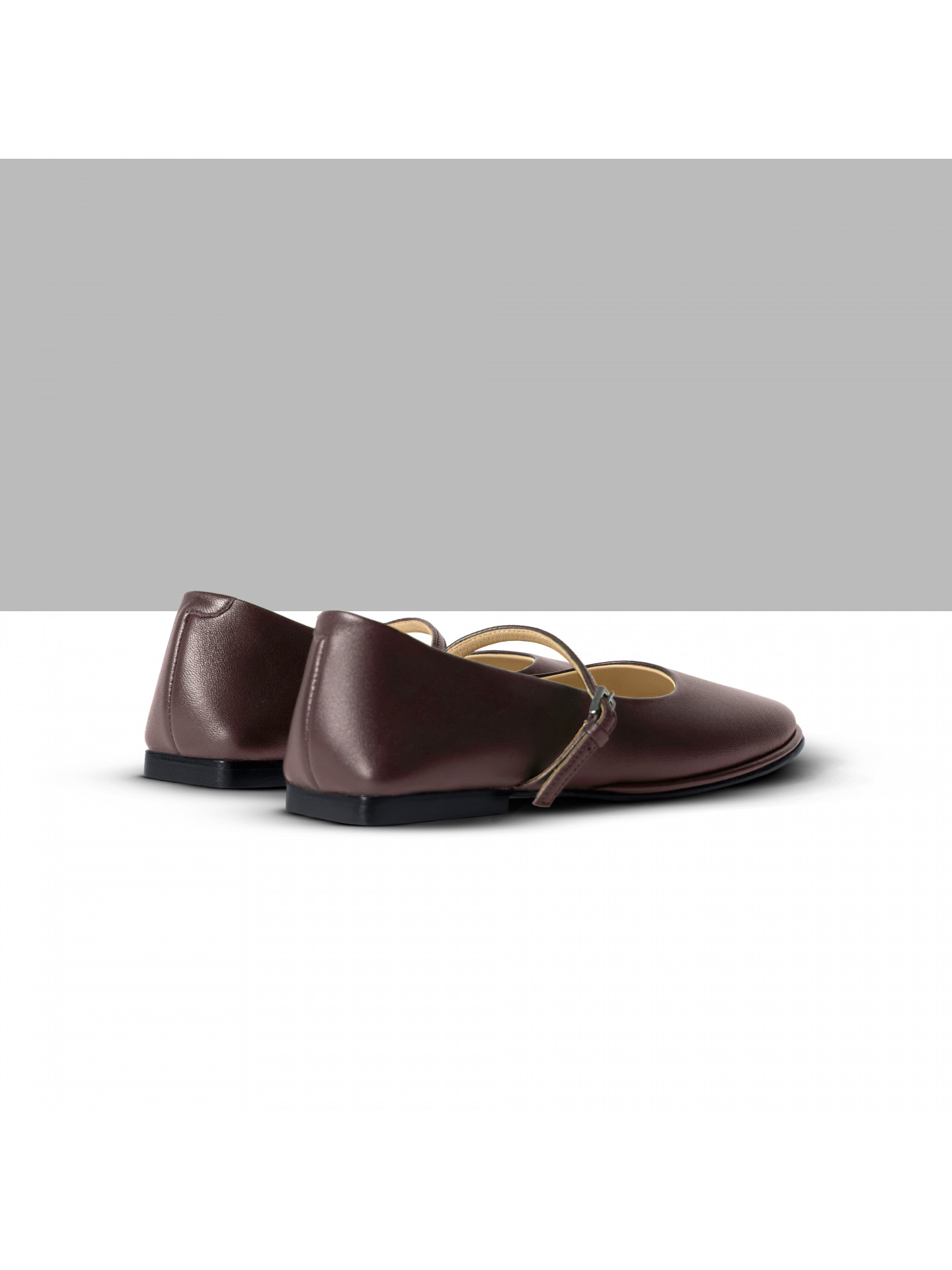 Classic ballet shoes